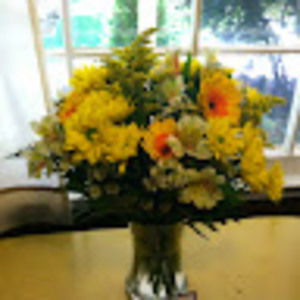 Meet your Posher, Diana